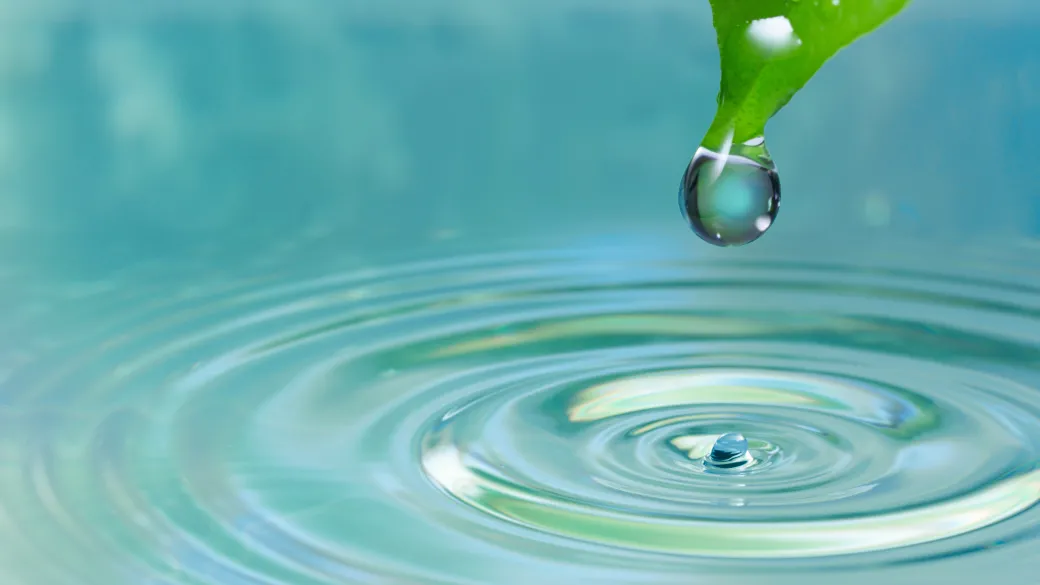 water drop from a leaf in a clear pond