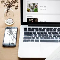 environmental-ecommerce-api-online-shopping