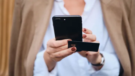 detail development partner paying online