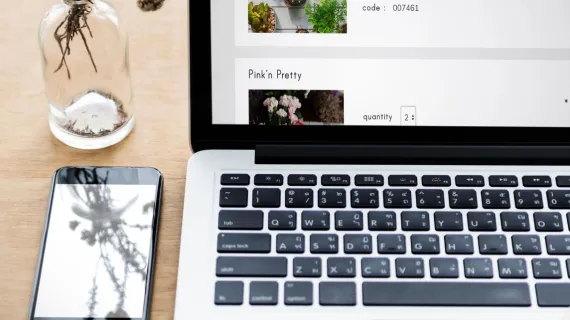 detail iframe laptop and mobile